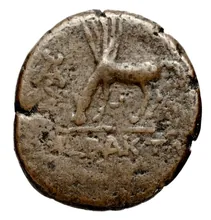 coin rev