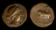coin obv