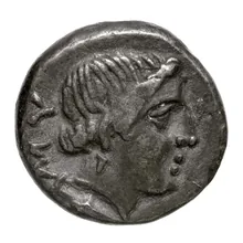 coin rev