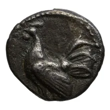 coin obv