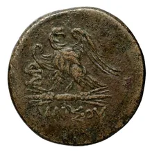 coin rev