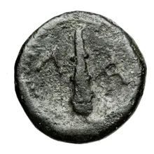 Cleomenes III of Sparta rev