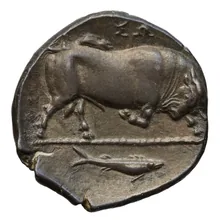 coin rev