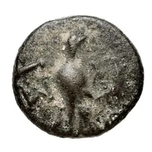 coin obv