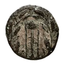 coin rev