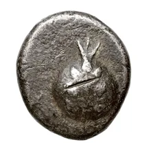 coin obv