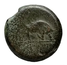 coin rev