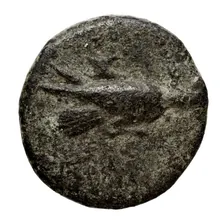 coin obv