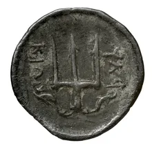 Bisaltae rev