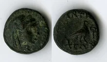 coin rev