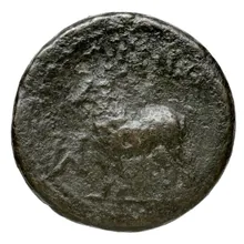 coin rev