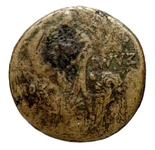 coin rev