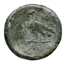 coin rev