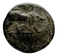 coin obv