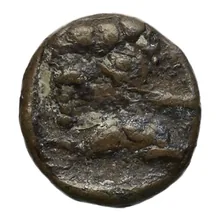 coin rev