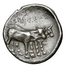 coin rev