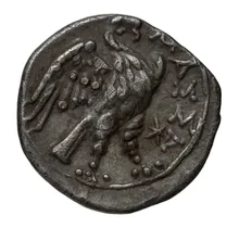 coin rev