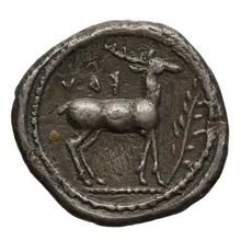 coin rev