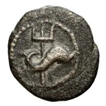coin obv