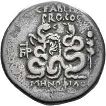 coin rev