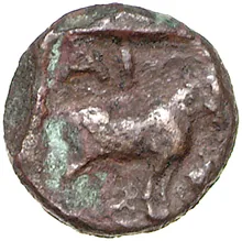 coin rev