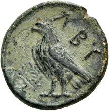 coin rev