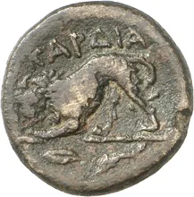 coin rev