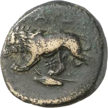 coin rev