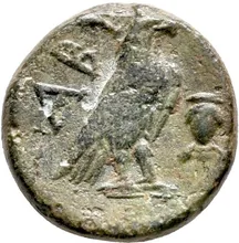 coin rev