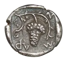 coin rev