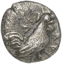 coin obv