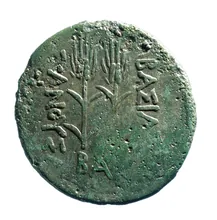 coin rev
