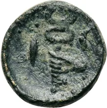 coin rev
