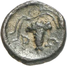 coin rev