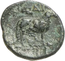 coin rev