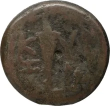 coin rev