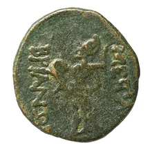 coin rev