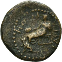 coin rev