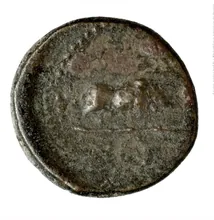 coin rev