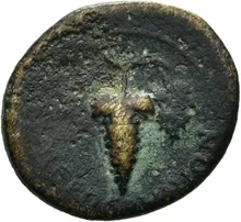 coin rev