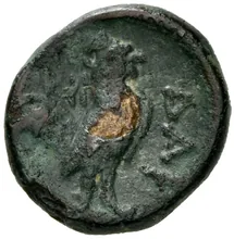 coin rev