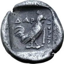 coin rev