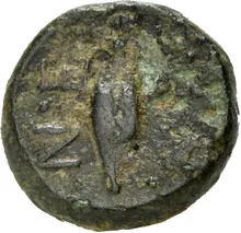 coin rev