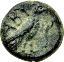 coin rev