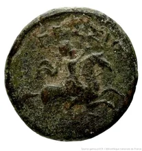 coin rev
