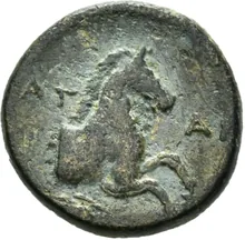 coin rev