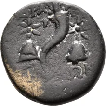 coin rev
