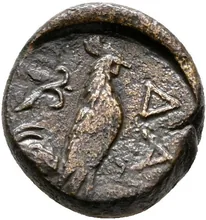 coin rev
