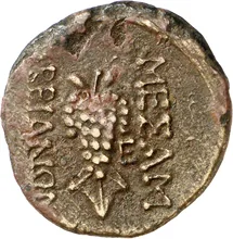 coin rev