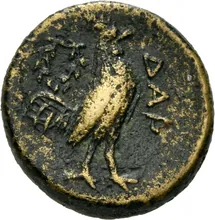 coin rev